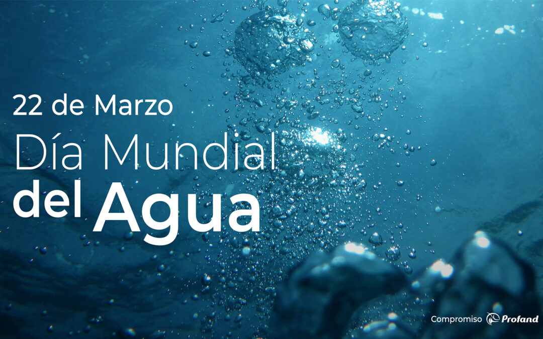 March 22, World Water Day
